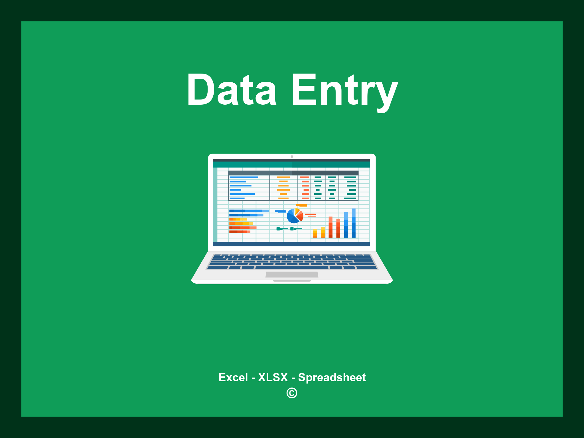 Data Entry Excel Template